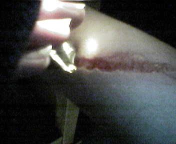 Av