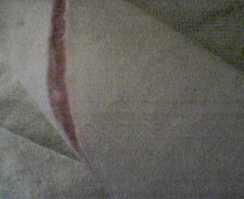 Av