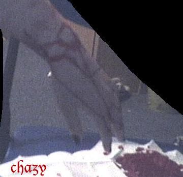 Chazy