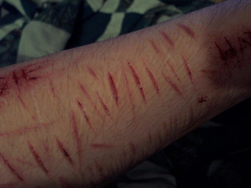Love is Lost